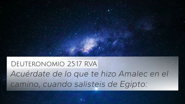 Deuteronomio 25:17 RVA Bible Verse Image