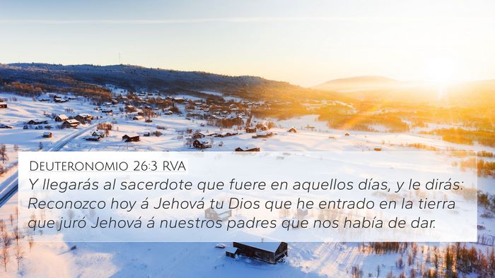 Deuteronomio 26:3 RVA 4K Wallpaper - Y llegarás al sacerdote que fuere en aquellos - 4K Wallpaper Bible Verse