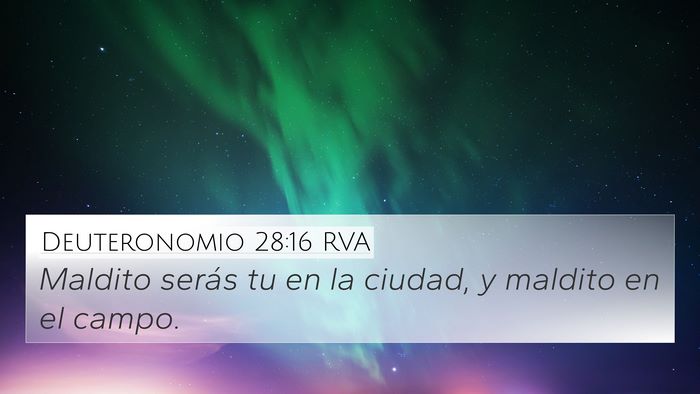 Deuteronomio 28:16 RVA 4K Wallpaper - Maldito serás tu en la ciudad, y maldito en el - 4K Wallpaper Bible Verse