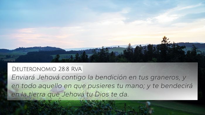 Deuteronomio 28:8 RVA Bible Verse Image