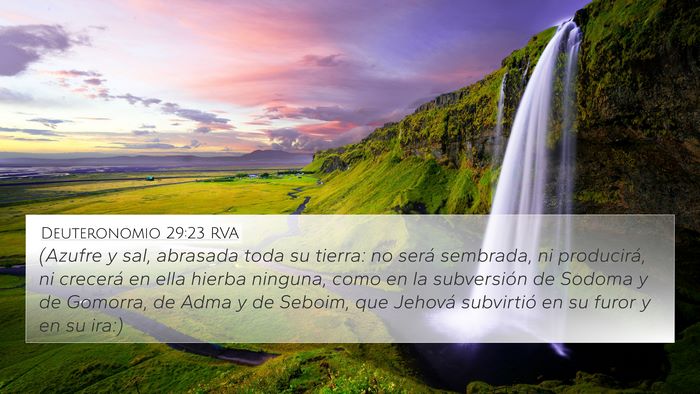 Deuteronomio 29:23 RVA Bible Verse Image