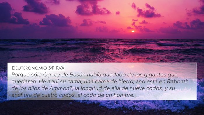 Deuteronomio 3:11 RVA Bible Verse Image