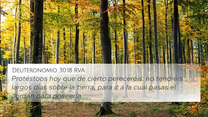 Deuteronomio 30:18 RVA Bible Verse Image