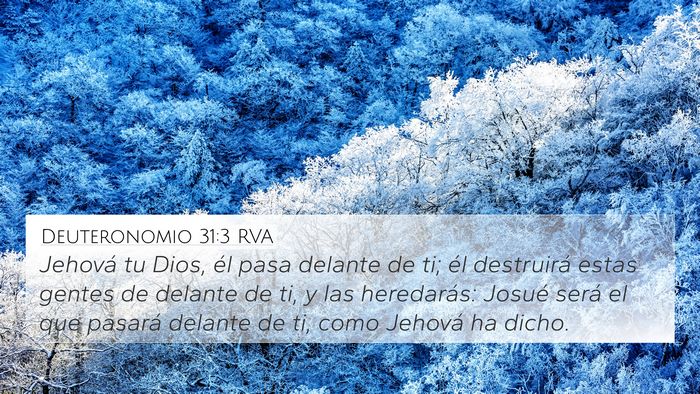 Deuteronomio 31:3 RVA Bible Verse Image