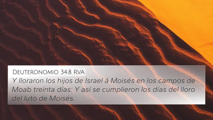 Deuteronomio 34:8 RVA Bible Verse Image