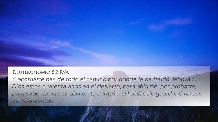 Deuteronomio 8:2 RVA Bible Verse Image