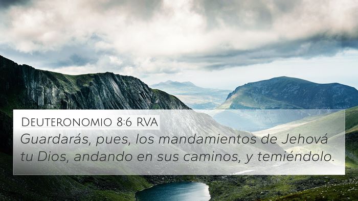 Deuteronomio 8:6 RVA 4K Wallpaper - Guardarás, pues, los mandamientos de Jehová tu - 4K Wallpaper Bible Verse