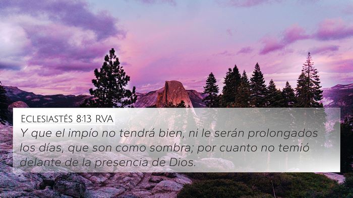 Eclesiastés 8:13 RVA Bible Verse Image