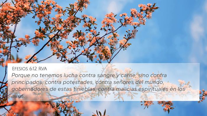 Efesios 6:12 RVA Bible Verse Image