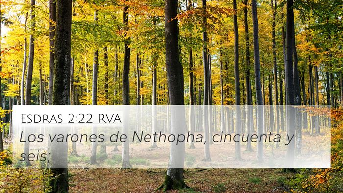 Esdras 2:22 RVA Bible Verse Image