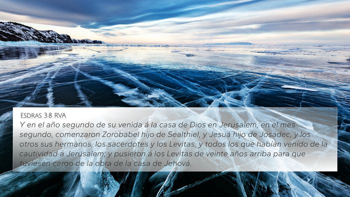 Esdras 3:8 RVA Bible Verse Image
