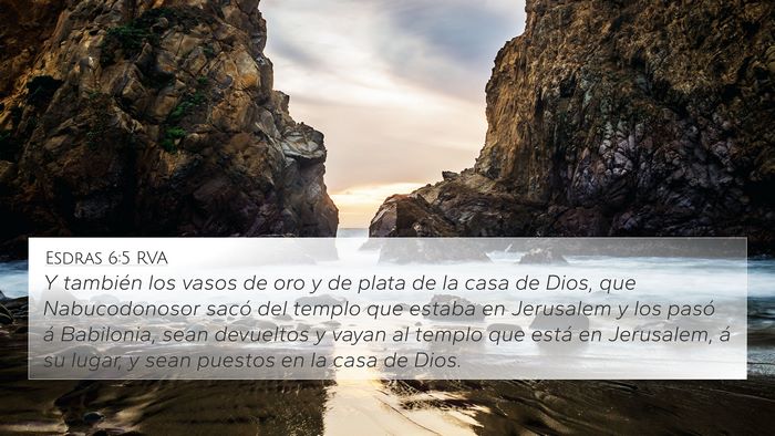 Esdras 6:5 RVA Bible Verse Image