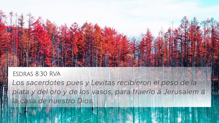 Esdras 8:30 RVA 4K Wallpaper - Los sacerdotes pues y Levitas recibieron el peso - 4K Wallpaper Bible Verse