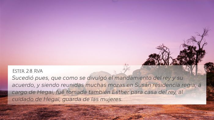 Ester 2:8 RVA Bible Verse Image