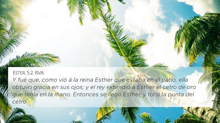 Ester 5:2 RVA Bible Verse Image
