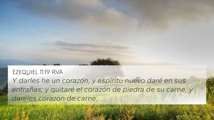 Ezequiel 11:19 RVA Bible Verse Image