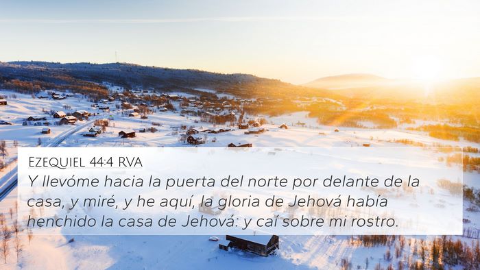 Ezequiel 44:4 RVA Bible Verse Image