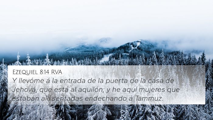 Ezequiel 8:14 RVA Bible Verse Image