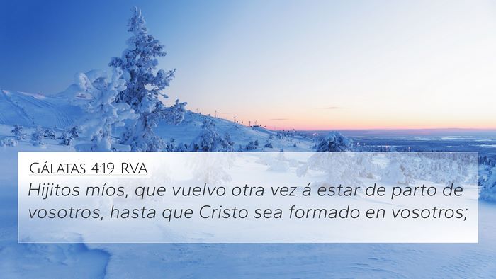 Gálatas 4:19 RVA Bible Verse Image