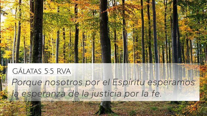 Gálatas 5:5 RVA Bible Verse Image