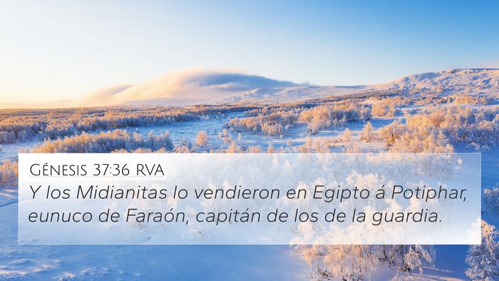 Génesis 37:36 RVA Bible Verse Image