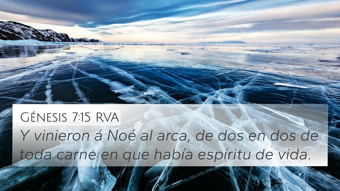 Génesis 7:15 RVA 4K Wallpaper - Y vinieron á Noé al arca, de dos en dos de toda - 4K Wallpaper Bible Verse