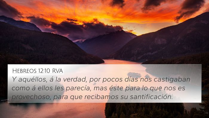 Hebreos 12:10 RVA Bible Verse Image