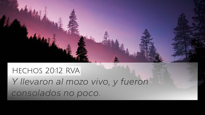 Hechos 20:12 RVA 4K Wallpaper - Y llevaron al mozo vivo, y fueron consolados no - 4K Wallpaper Bible Verse