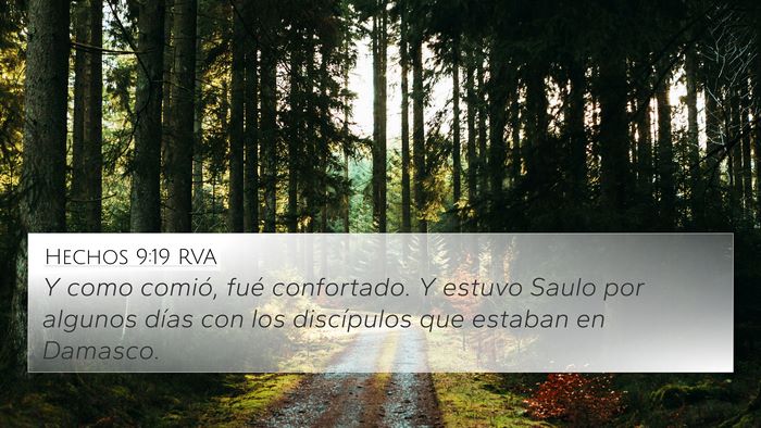 Hechos 9:19 RVA Bible Verse Image