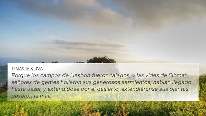 Isaías 16:8 RVA Bible Verse Image