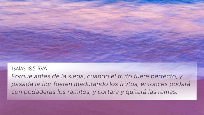 Isaías 18:5 RVA Bible Verse Image