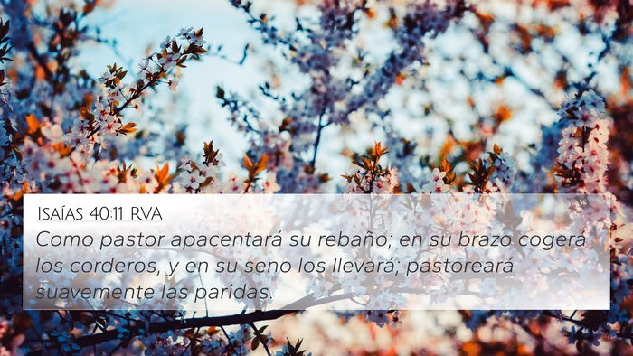 Isaías 40:11 RVA Bible Verse Image