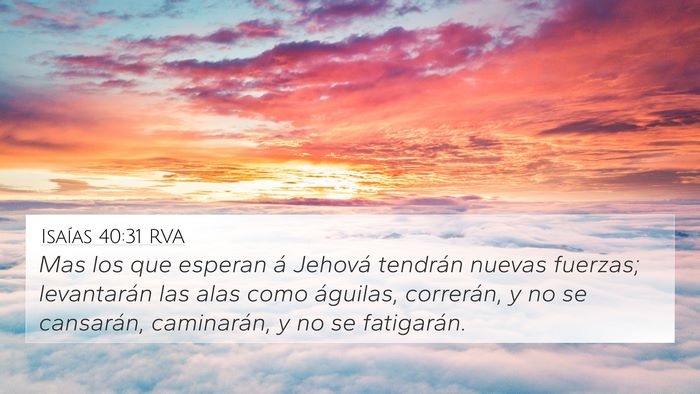 Isaías 40:31 RVA Bible Verse Image