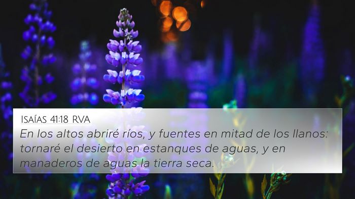Isaías 41:18 RVA Bible Verse Image