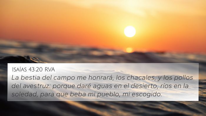 Isaías 43:20 RVA Bible Verse Image