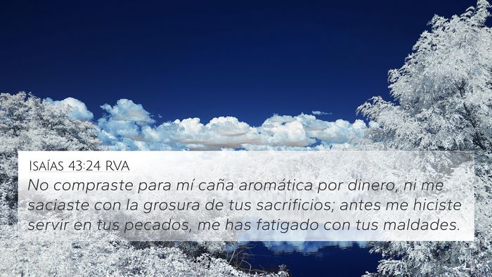 Isaías 43:24 RVA Bible Verse Image