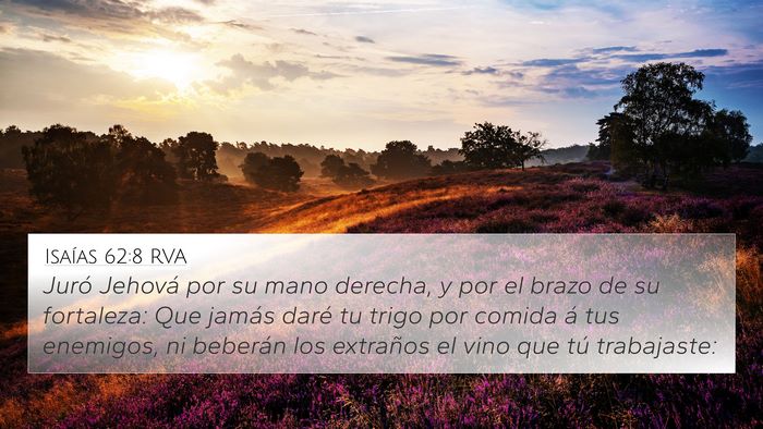 Isaías 62:8 RVA Bible Verse Image