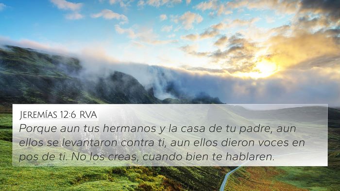 Jeremías 12:6 RVA Bible Verse Image