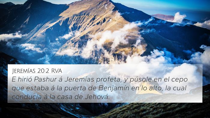 Jeremías 20:2 RVA Bible Verse Image