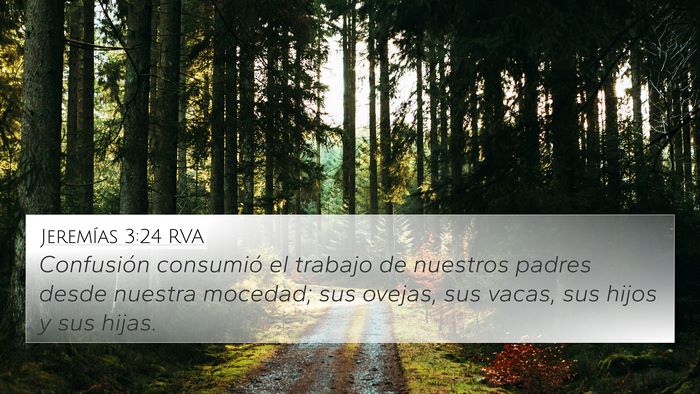 Jeremías 3:24 RVA Bible Verse Image