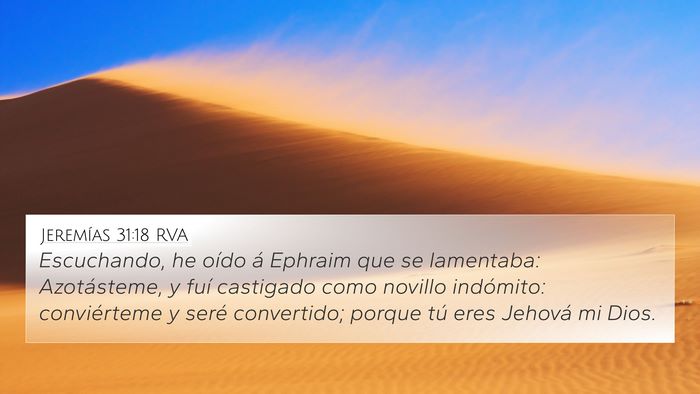 Jeremías 31:18 RVA Bible Verse Image
