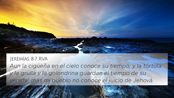 Jeremías 8:7 RVA Bible Verse Image