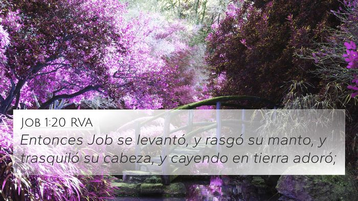 Job 1:20 RVA Bible Verse Image