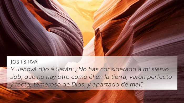 Job 1:8 RVA Bible Verse Image