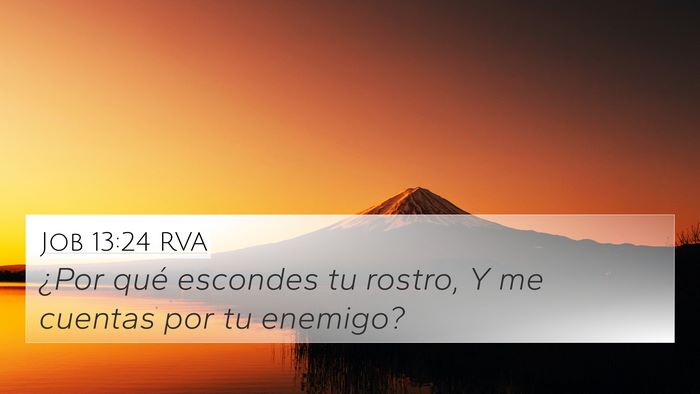 Job 13:24 RVA Bible Verse Image