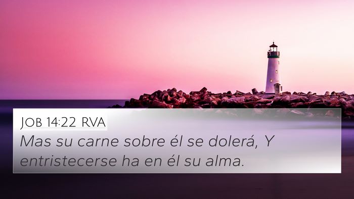 Job 14:22 RVA 4K Wallpaper - Mas su carne sobre él se dolerá, Y - 4K Wallpaper Bible Verse