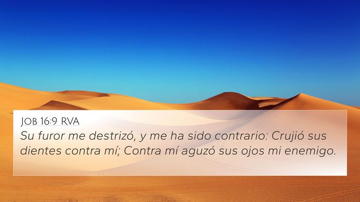 Job 16:9 RVA Bible Verse Image