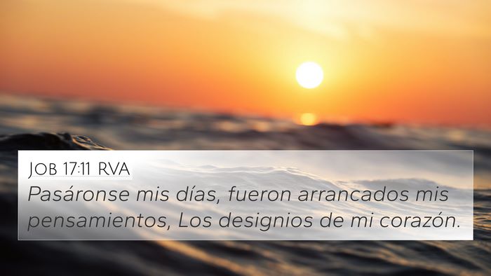Job 17:11 RVA Bible Verse Image