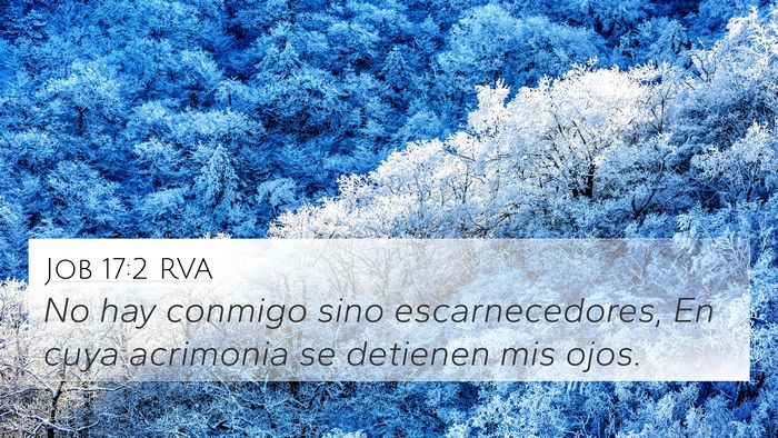Job 17:2 RVA Bible Verse Image