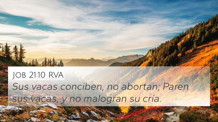 Job 21:10 RVA Bible Verse Image